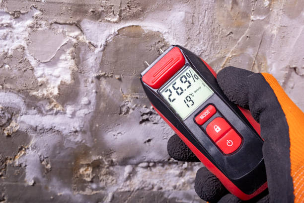 Best Toxic Mold Removal  in Hobe Sound, FL